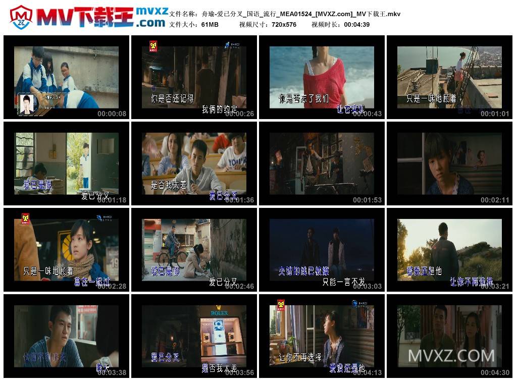 舟瑜-爱已分叉_国语_流行_MEA01524